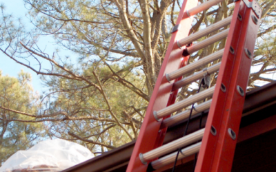 The Importance of Inspecting Your Home Ladder