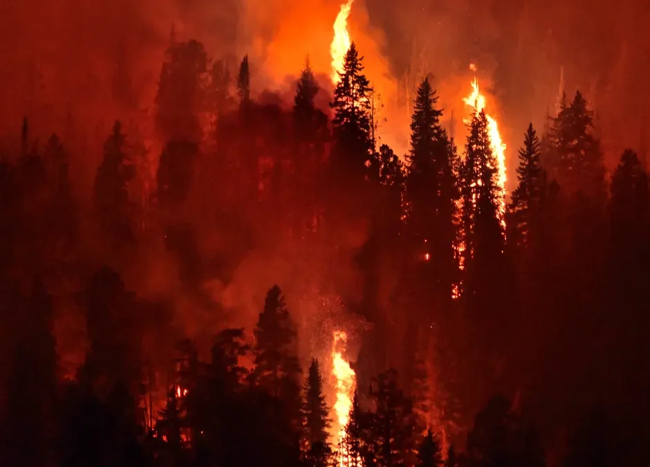 Fire Safety: How to Prevent and Respond to Wildfires in the Summer Months
